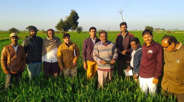 Centre sends team to inspect Wheat crop affected by Tobacco Caterpillars in Madhya Pradesh