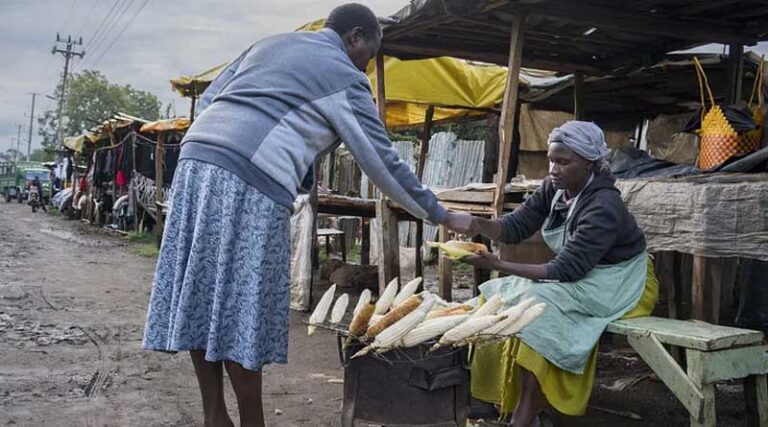 In maize research, farmers’ priorities are our priorities