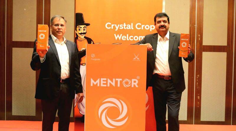 Crystal Crop Protection launches new fungicide Mentor for paddy farmers