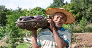 Transforming agrifood systems requires changing policies, mindsets, and business models