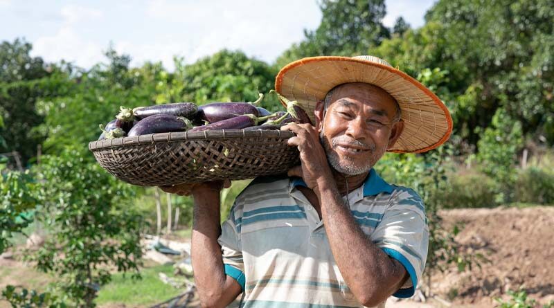 Transforming agrifood systems requires changing policies, mindsets, and business models