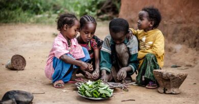 Urgent action needed as acute malnutrition threatens the lives of millions of vulnerable children
