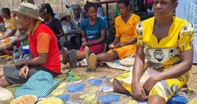 Farmers in Zimbabwe embrace agroecology