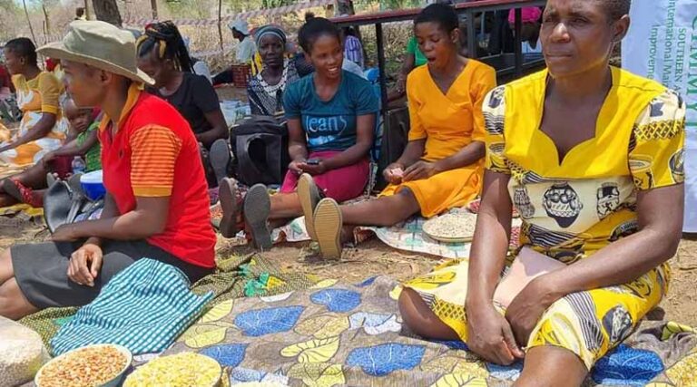 Farmers in Zimbabwe embrace agroecology