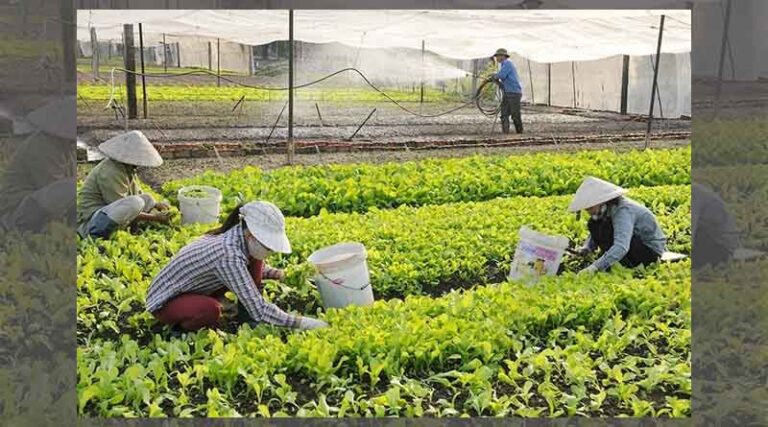 1,600 more cooperatives to be formed this year
