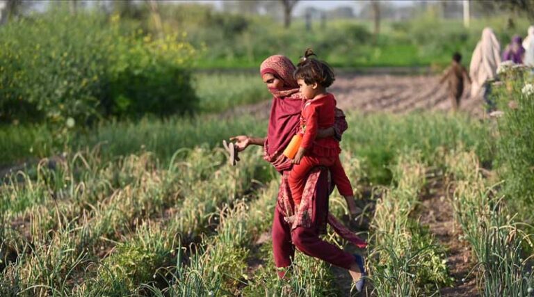 Putting people, the environment and disaster-risk screening at the centre of projects