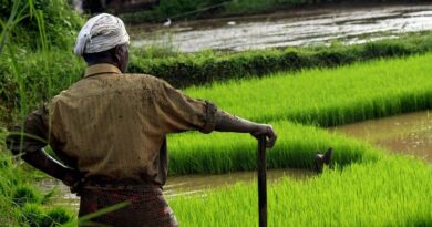 Perception of Indian farmers in the world