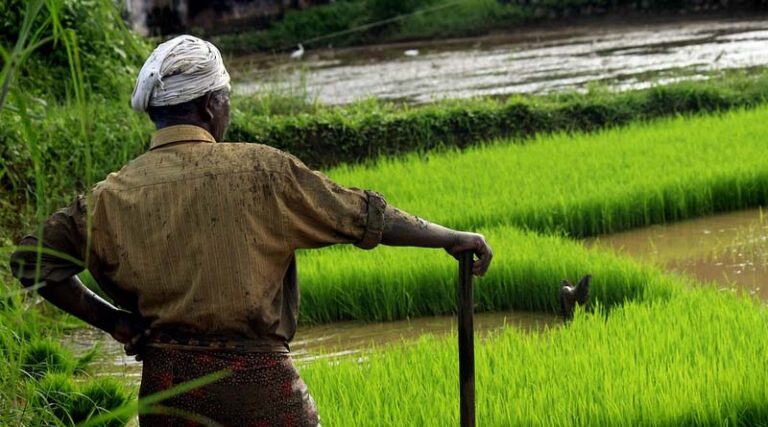 Perception of Indian farmers in the world