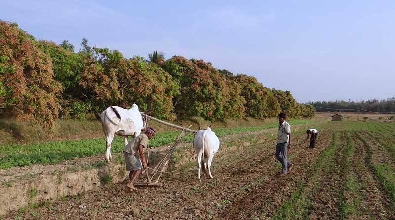 How can we improve farmers income in India?