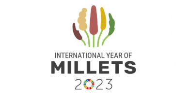 Indian Delegation led by Abhilaksh Likhi, Additional Secretary of Ministry of Agriculture in Nigeria for Cooperation on Millets