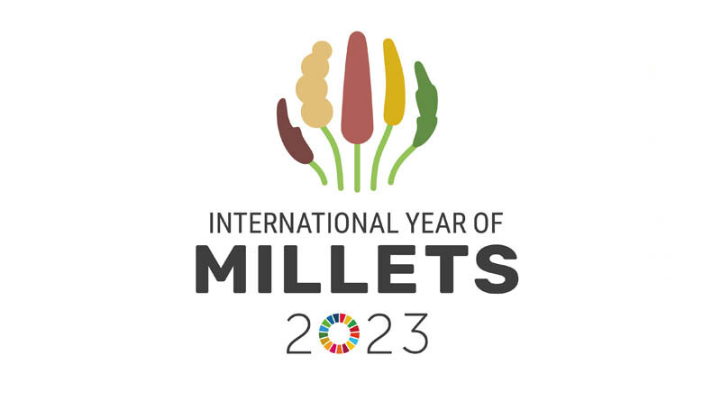Indian Delegation led by Abhilaksh Likhi, Additional Secretary of Ministry of Agriculture in Nigeria for Cooperation on Millets