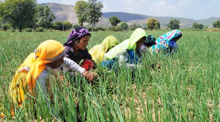 Integrated agriculture development is the key to food security
