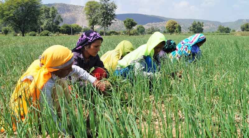 Integrated agriculture development is the key to food security