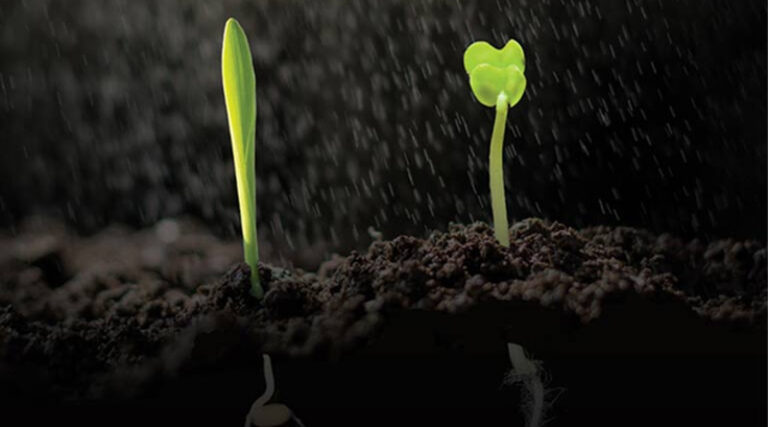 STartUP® your crop in 2023