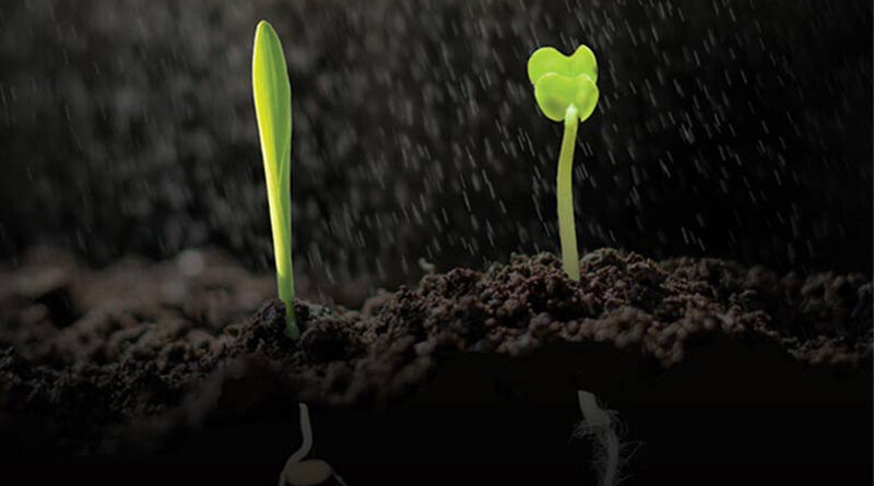 STartUP® your crop in 2023
