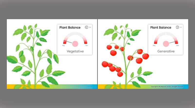WayBeyond Finds The Balance To Steer Plants To Success