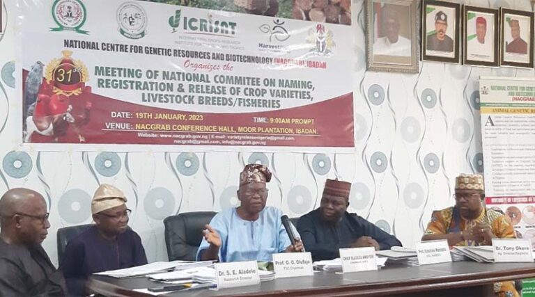 Three sorghum and three pearl millet varieties developed by ICRISAT in Nigeria