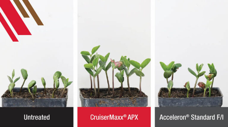 With La Niña weather pattern continuing into 2023, growers should plan ahead to protect soybean seedlings from potential disease pressure