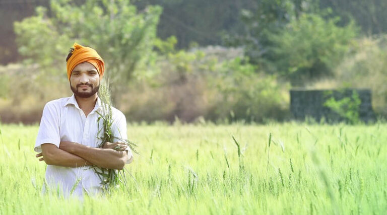 The future of agrochemicals in India