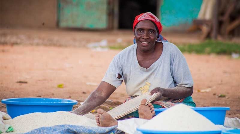India-Africa Cooperation in the Agricultural Sector for Food Security