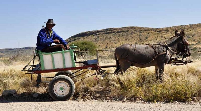 How to make mechanization accessible to smallholder farmers in Sub-Saharan Africa?