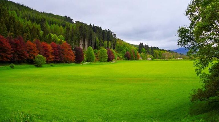 Global organic farmland and market continued to grow in 2021