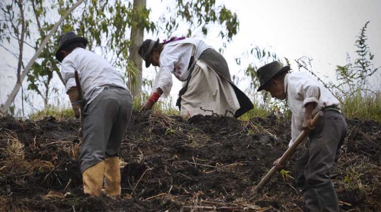Globally Important Agricultural Heritage Systems: Two new sites recognized in Ecuador’s Andes and Amazon regions