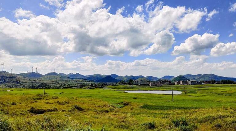 China issues No. 1 central document for 2023, highlights rural vitalization tasks
