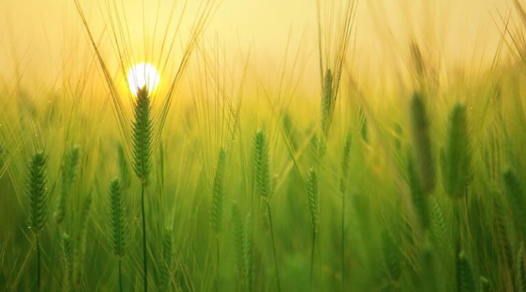 Developing farming a national priority