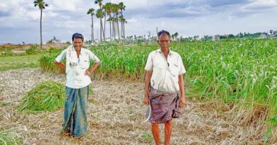 Subsidy of 31 thousand for organic inputs for farmers