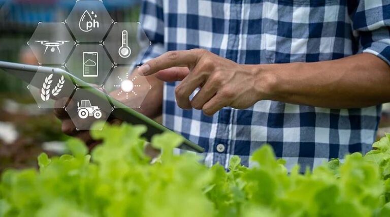 Automation: The New Sustainable Agricultural Revolution