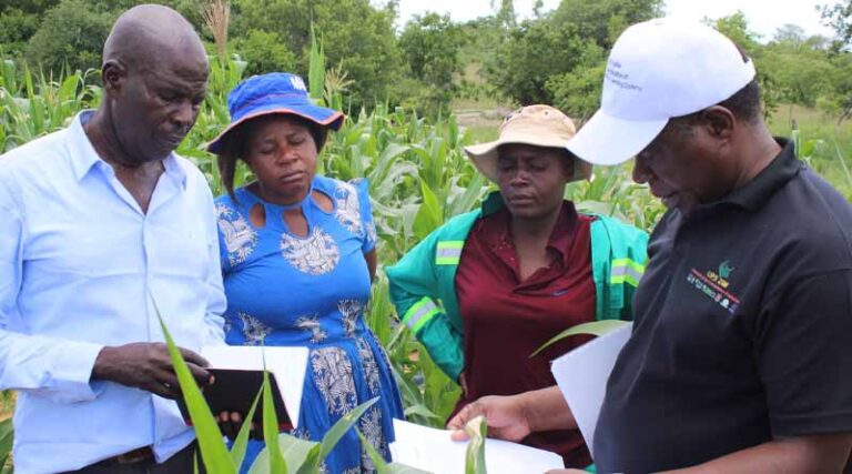 Farmers in Buhera gear up for climate-smart agriculture