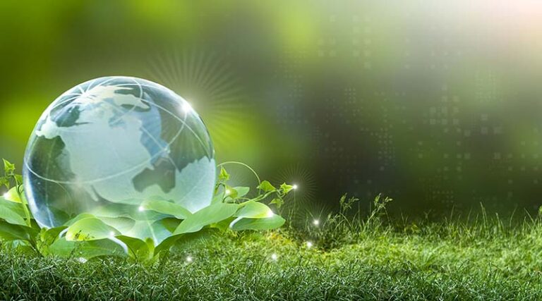 A Look at the Current and Future State of the Agricultural Carbon Market