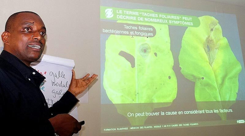 Plantwise training materials for plant doctors now available in 11 languages