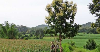 Many key provisions for Agriculture and Farmers Welfare in the budget