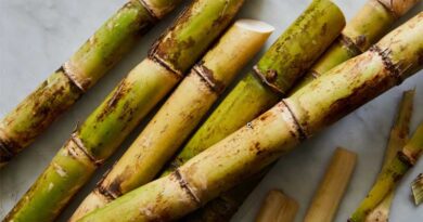 Sugar mills likely to report 8-12% rise in revenues in FY23: Report