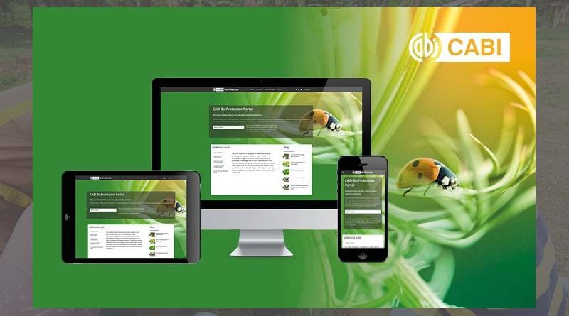 CABI BioProtection Portal launched to help fight crop pests and diseases more sustainably in Tanzania