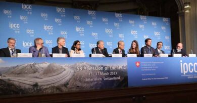 IPCC climate report draws urgency to food systems transformation
