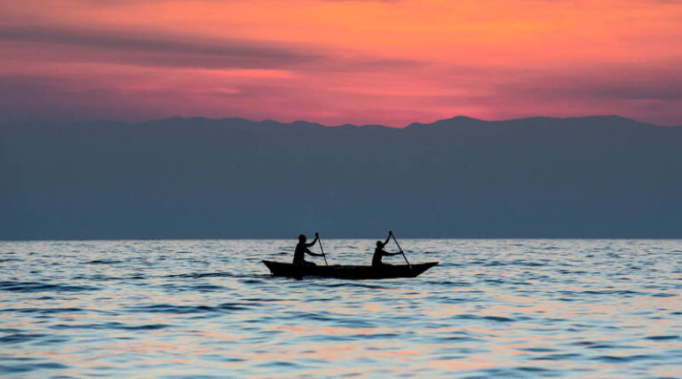 FAO welcomes the outcomes of UN 2023 Water Conference