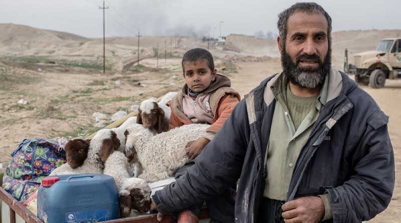 Iraq: Safety, credit and opportunities are all key for displaced farmers to return home