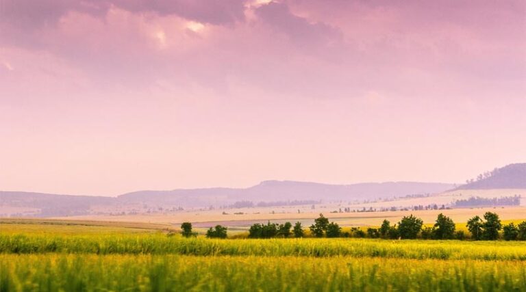 EU mulls tougher agricultural, energy commodity rules
