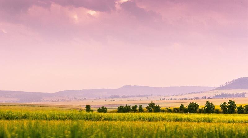 EU mulls tougher agricultural, energy commodity rules