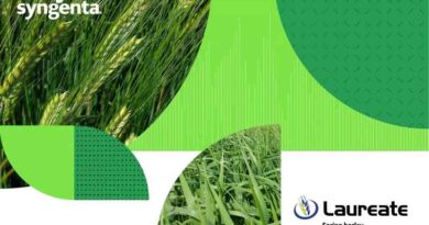 LAUREATE – the top pick of the malting varieties