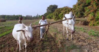Agri-focused NBFCs and Fintech plays a critical role to augment credit requirement for agricultural innovation