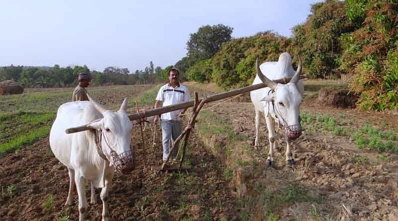 Agri-focused NBFCs and Fintech plays a critical role to augment credit requirement for agricultural innovation