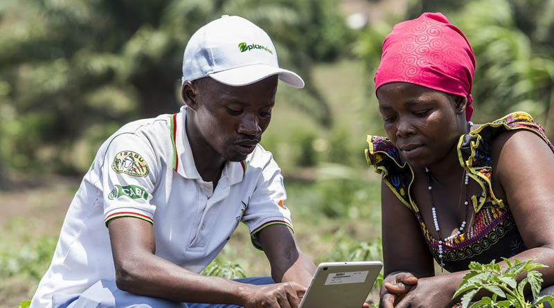 CABI’s Executive Council reviews progress and plans to tackle humanity’s greatest challenges
