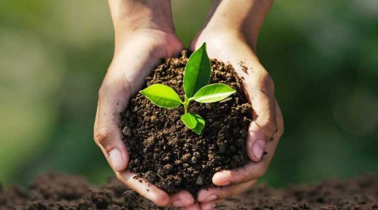 First Nitrogen Management Project Using the Nitrous Oxide Emissions Reduction Protocol Completed in North America