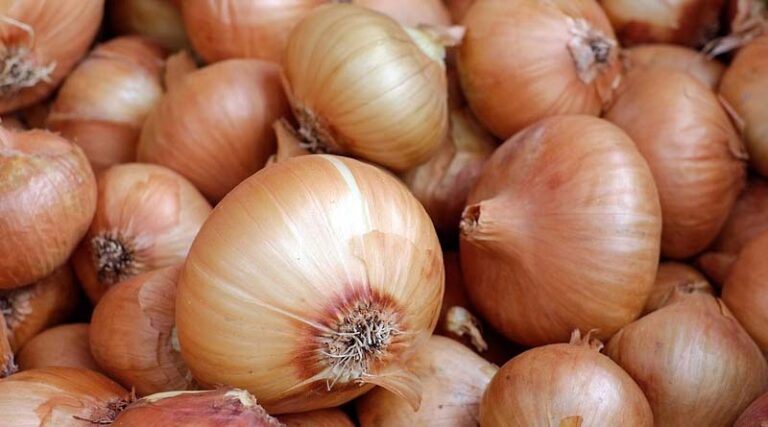NAFED to begin procurement of Kharif Onion in Gujarat