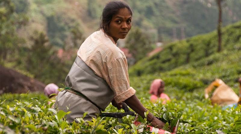Agriculture Ministry returned 'unutilised' Rs 44,000 crore in 3 years