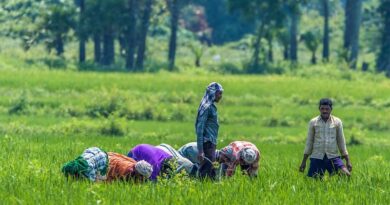Projects under Agriculture Infrastructure Fund